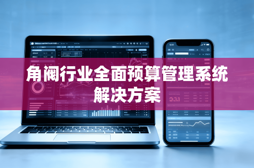 角阀行业全面预算管理系统解决方案