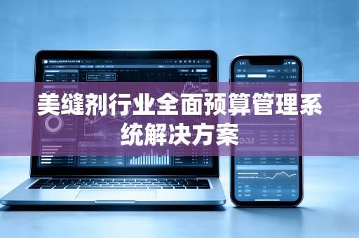 美缝剂行业全面预算管理系统解决方案
