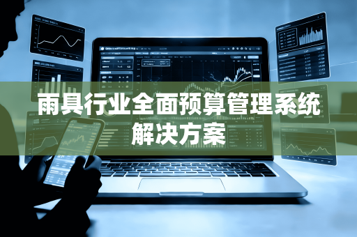 雨具行业全面预算管理系统解决方案
