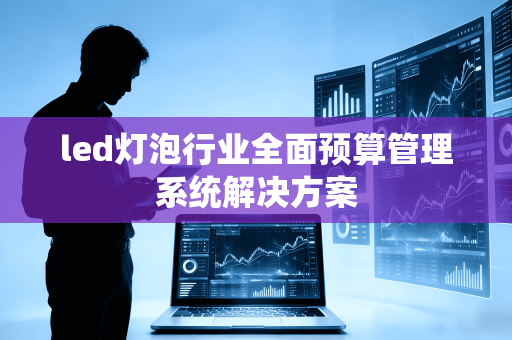 led灯泡行业全面预算管理系统解决方案