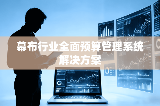 幕布行业全面预算管理系统解决方案