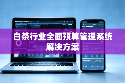 白茶行业全面预算管理系统解决方案